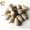 Manufacture New Crop Pecan Nuts